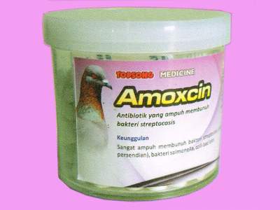 amoxcin